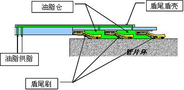 盾尾油脂倉構(gòu)造圖